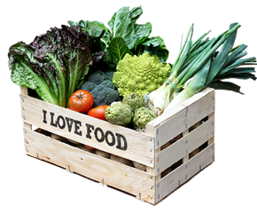 Entrega a domicilio en Barcelona de verduras bio / orgánicas