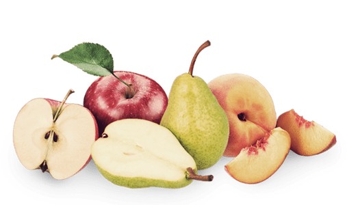 Fruta para empresas: manzanas, platanos, mandarinas, naranjas, fresas... todo ecológico!